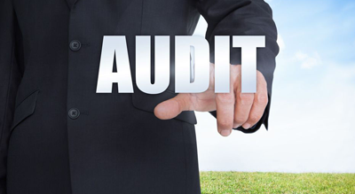 When Inland Revenue Says Audit It Means Audit