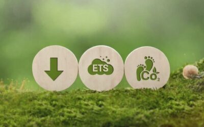 NZ Tax Rules for Forestry Businesses in the Emissions Trading Scheme